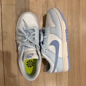Blue Nike Dunks Size 7.5